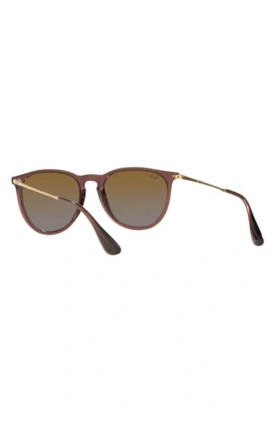 Shop Ray Ban Erika Classic 54mm Sunglasses In Transparent Brown