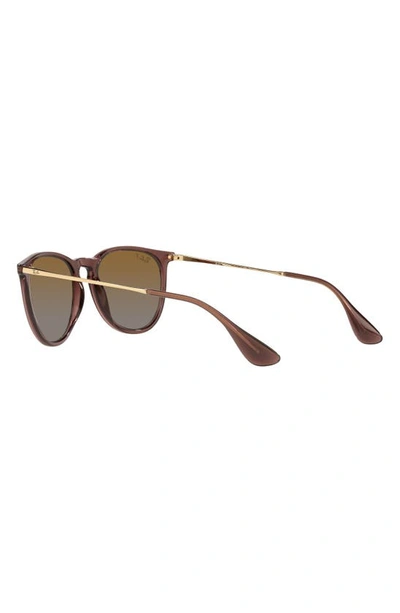 Shop Ray Ban Erika Classic 54mm Sunglasses In Transparent Brown