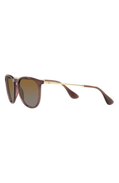 Shop Ray Ban Erika Classic 54mm Sunglasses In Transparent Brown