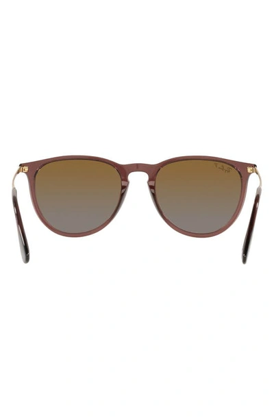 Shop Ray Ban Erika Classic 54mm Sunglasses In Transparent Brown