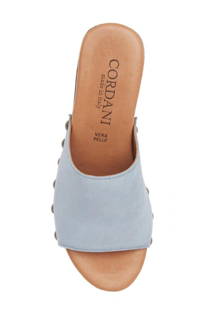 Shop Cordani Whitley Block Heel Sandal In Avio Suede