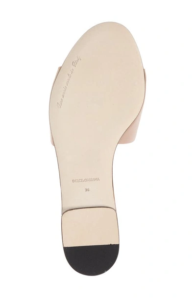 Dolce & Gabbana Piink Leather Millennials Flats In Powder Pink