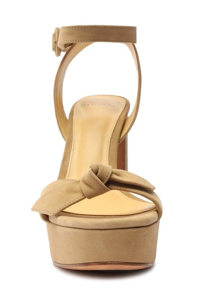 Shop Alexandre Birman Clarita Platform Sandal In Nude