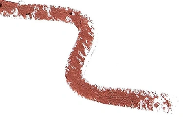 Ctzn Cosmetics Lipstroke Waterproof Lip Liner In Chaar