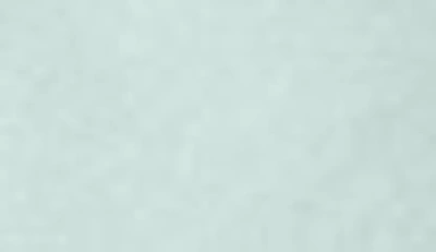Pg Goods Luxe Cotton Percale Crisp Sheet Set In Mint