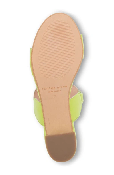 Shop Patricia Green Palm Beach Slide Sandal In Lime Green