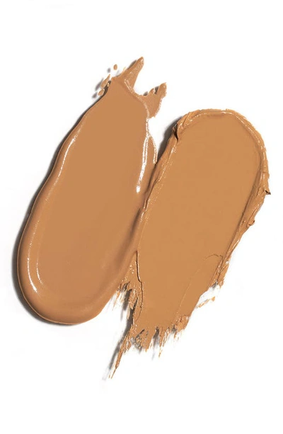 Shop Wander Beauty Dualist Matte & Illuminating Concealer In Golden Rich