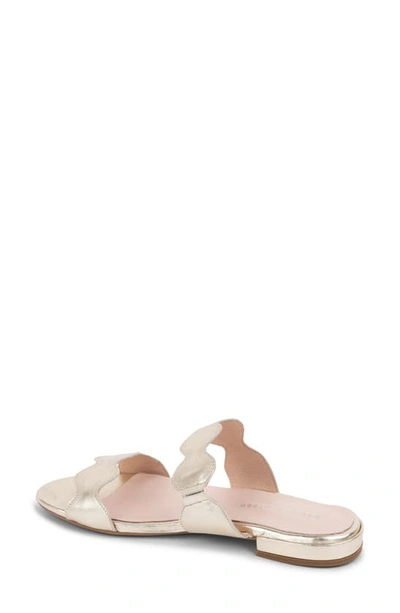 Patricia Green Palm Beach Sandal In Gold
