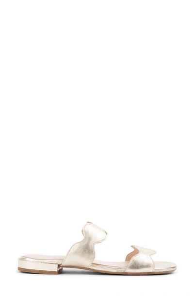 Patricia Green Palm Beach Sandal In Gold