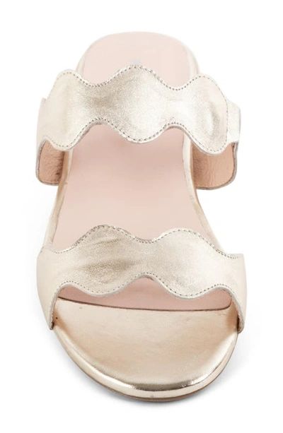 Patricia Green Palm Beach Sandal In Gold