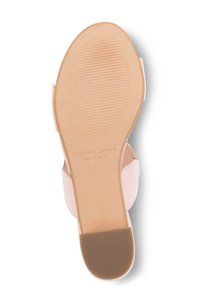Shop Patricia Green Palm Beach Slide Sandal In Soft Pink