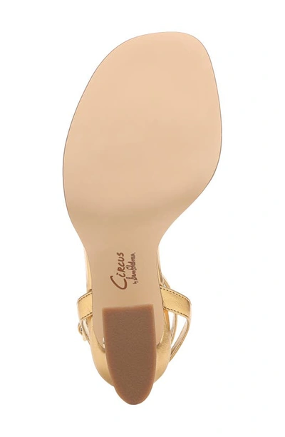 Shop Circus By Sam Edelman Hartlie Ankle Strap Sandal In Millenia Gold