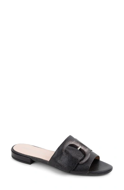 Shop Patricia Green Venice Buckle Slide Sandal In Black