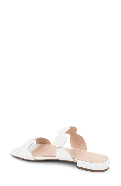 Patricia Green Palm Beach Flat Sandal In White