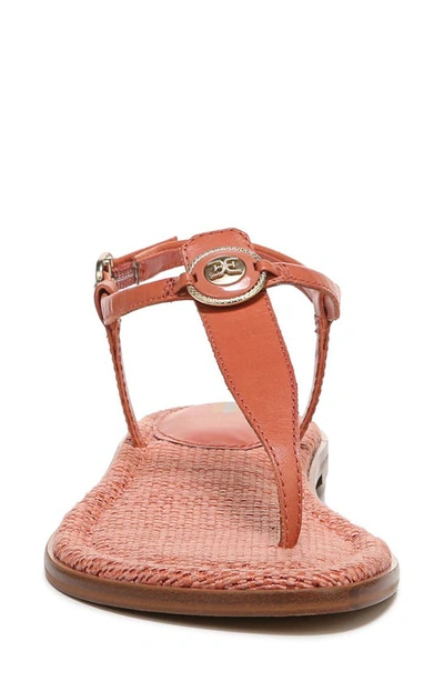 Shop Sam Edelman Gigi Signet Sandal In Terracotta Pink