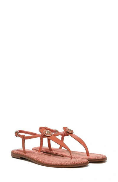 Shop Sam Edelman Gigi Signet Sandal In Terracotta Pink