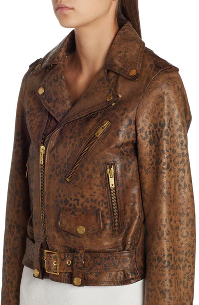 Shop Golden Goose Chiodo Leopard Print Distressed Leather Jacket In Leopard Tannin/ Black