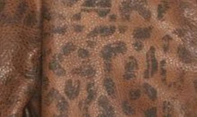 Shop Golden Goose Chiodo Leopard Print Distressed Leather Jacket In Leopard Tannin/ Black