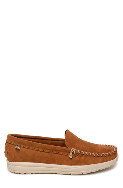 Shop Minnetonka Discover Classic Water Resistant Loafer In Brown