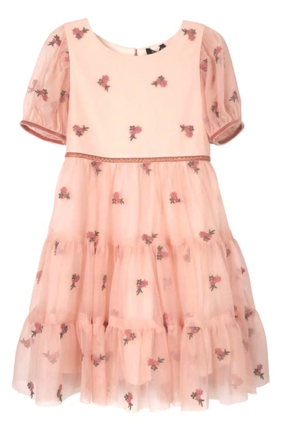 Shop Zunie Kids' Floral Embroidered Mesh Dress In Mauve