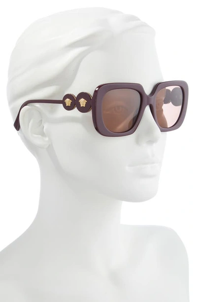Shop Versace 54mm Square Sunglasses In Bordeaux