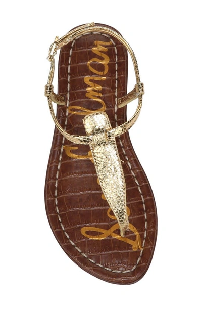 Shop Sam Edelman Gigi Sandal In Amber Gold