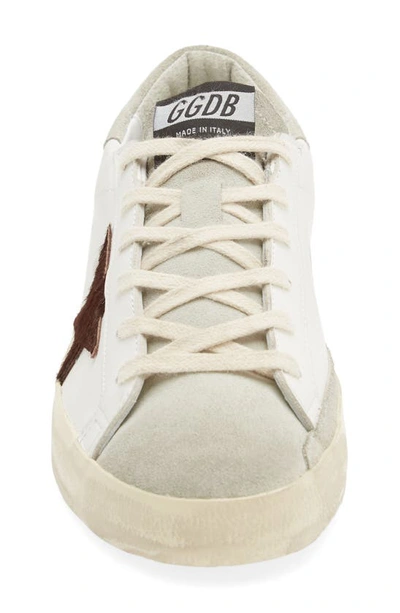 Shop Golden Goose Super-star Low Top Sneaker In White/ Chocolate/ Ice