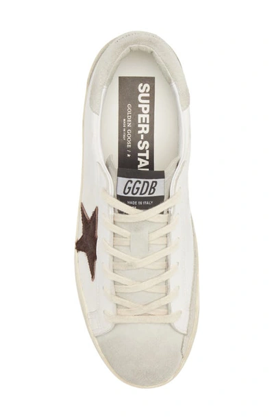 Shop Golden Goose Super-star Low Top Sneaker In White/ Chocolate/ Ice