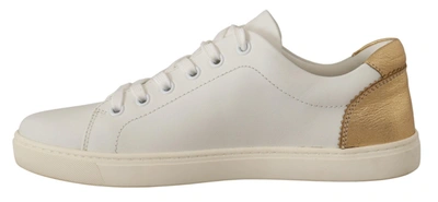 Shop Dolce & Gabbana White Gold Leather Low Top Women's Sneakers