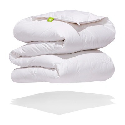 Shop Canadian Down & Feather Company Hutterite White Down Duvet Regular  Weight