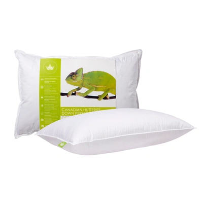 Shop Canadian Down & Feather Company Hutterite Down Perfect Pillow Firm Support In White