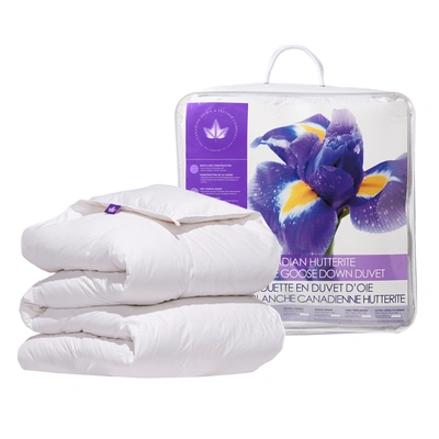 Shop Canadian Down & Feather Company Hutterite Goose Down Duvet All Season  Weight In White