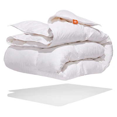 Shop Canadian Down & Feather Company White Goose Feather Duvet All Season  Weight