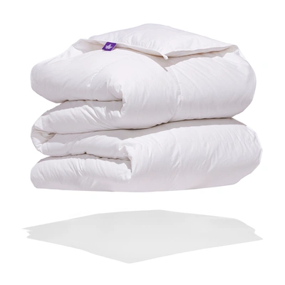 Shop Canadian Down & Feather Company Hutterite Goose Down Duvet Regular  Weight In White
