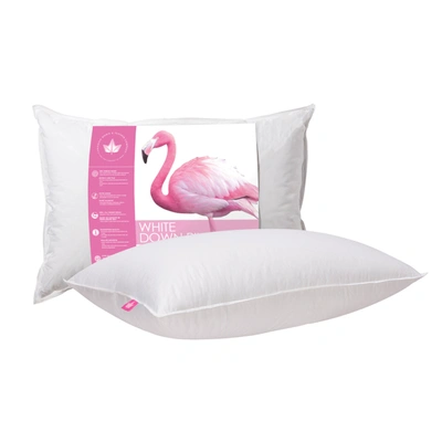 Shop Canadian Down & Feather Company White Down Pillow Firm Support
