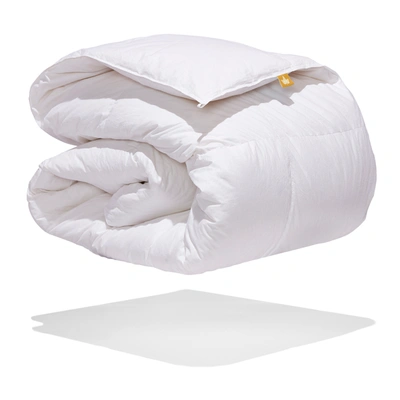 Shop Canadian Down & Feather Company 650 Loft White Goose Down Duvet Regular  Weight