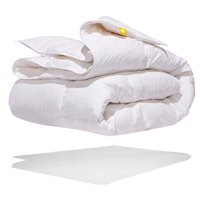 Shop Canadian Down & Feather Company White Feather & Down Duvet Regular  Weight