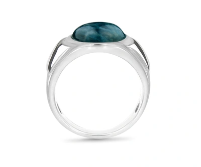 Shop Monary Dark Blue Apatite Stone Signet Ring In Sterling Silver