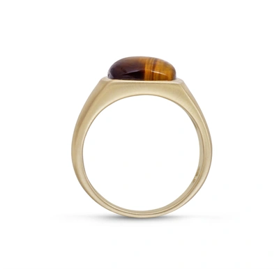 Shop Monary Chatoyant Yellow Tiger Eye Signet Ring In 14k Yellow Gold Plated Sterling Silver In Multi