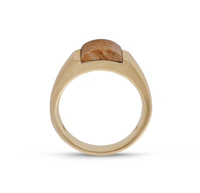 Shop Monary Wood Jasper Stone Signet Ring In 14k Yellow Gold Plated Sterling Silver In Brown