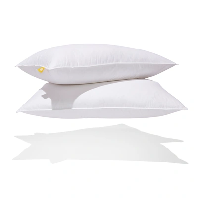 Shop Canadian Down & Feather Company Down Perfect White Feather & Down Pillow Medium Support - 2 Pack