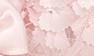 Flora Nikrooz Bellflower Mesh Babydoll In Pink