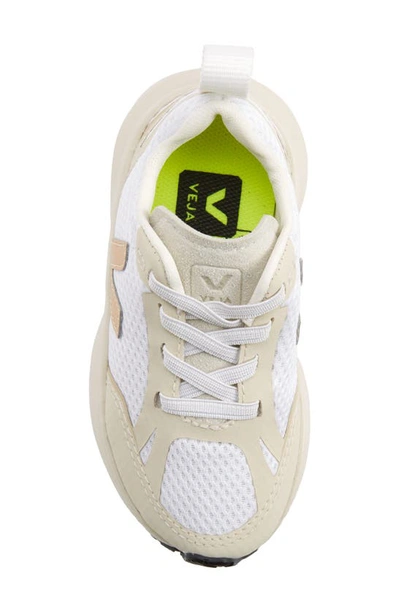 Shop Veja Canary Alveomesh Sneaker In White Platine