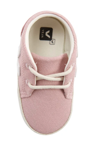 Veja Canvas Crib Shoe In Babe White