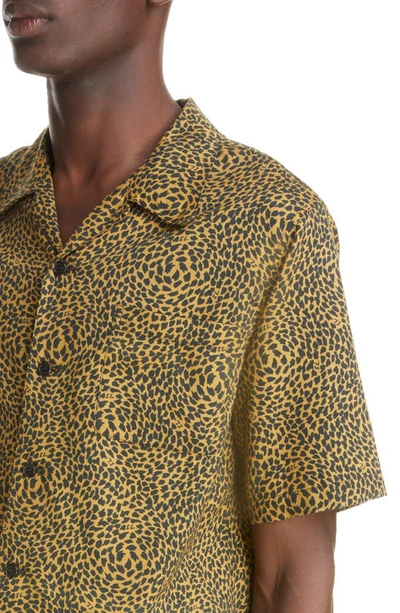 Shop Saint Laurent Hawaii Animal Print Short Sleeve Button-up Shirt In Black/ Camel