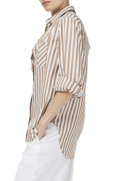 Rag & Bone Maxine Cotton Button Down Stripe Shirt In Brown Stripe