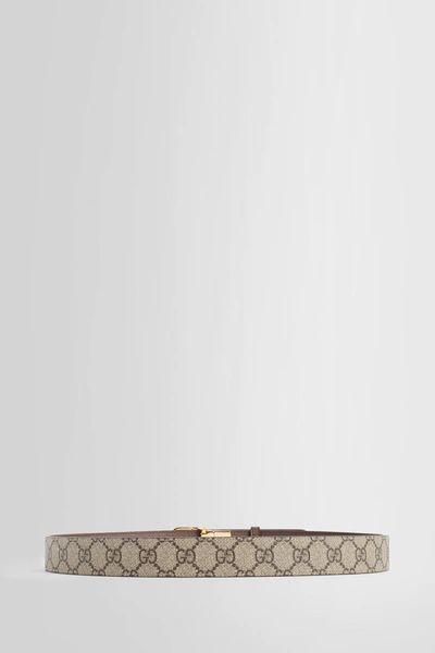 Gucci Man Brown Belts In Beige