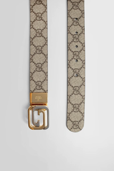 Gucci Man Brown Belts In Beige