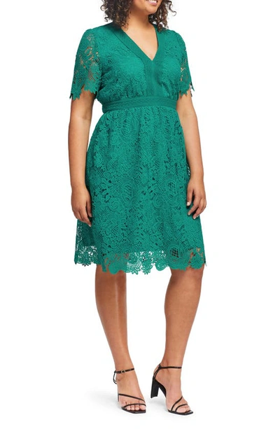 Shop Estelle Shire Lace Midi Dress In Apple