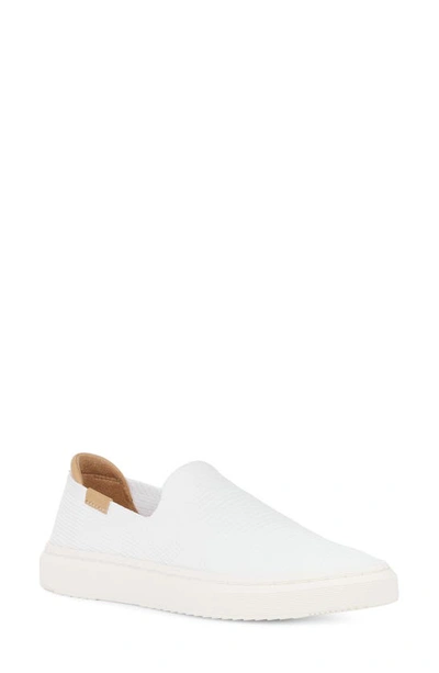 Shop Ugg Alameda Sammy Slip-on Sneaker In White